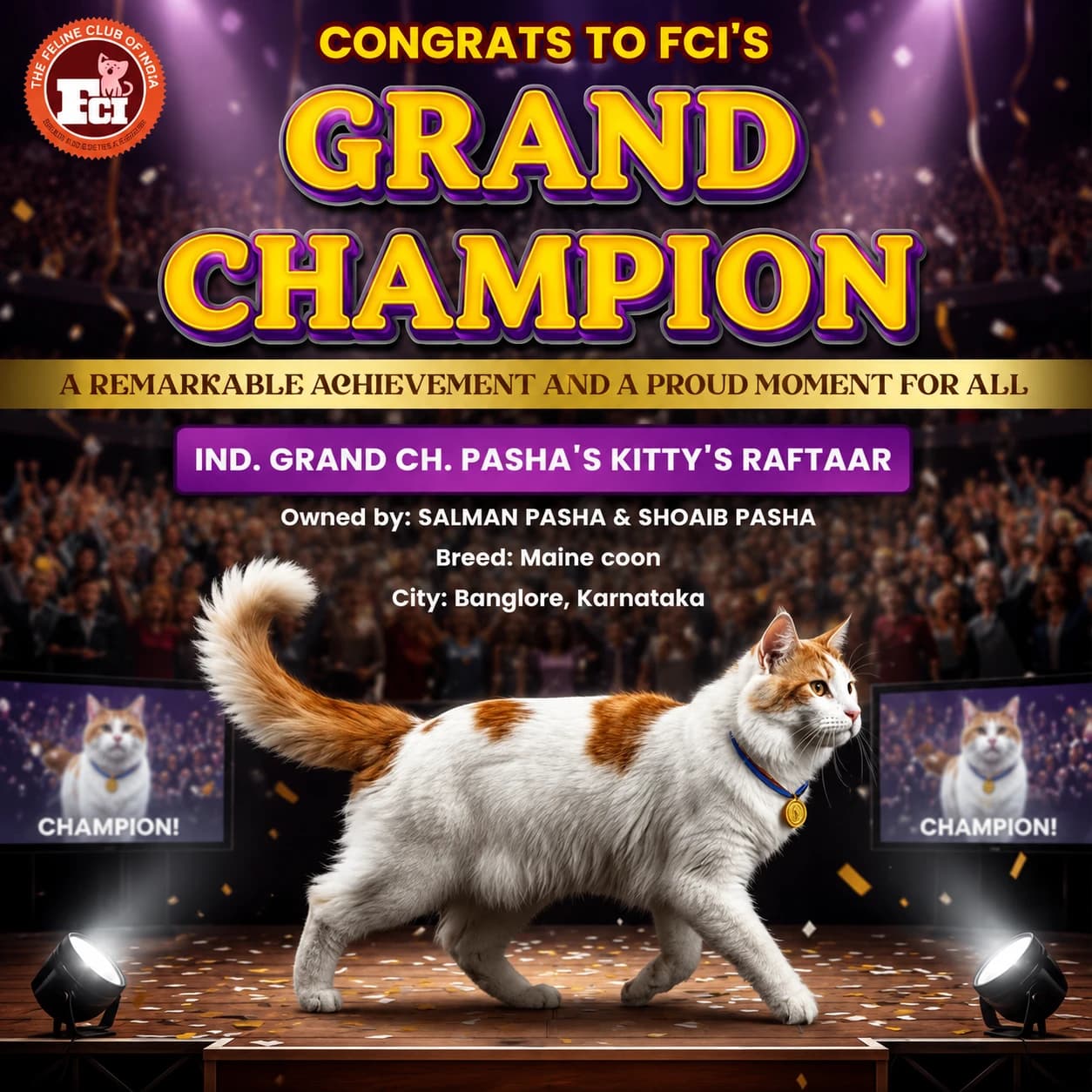 FCI Grand Champion award poster for Pasha's Kitty's Raftaar, Maine Coon