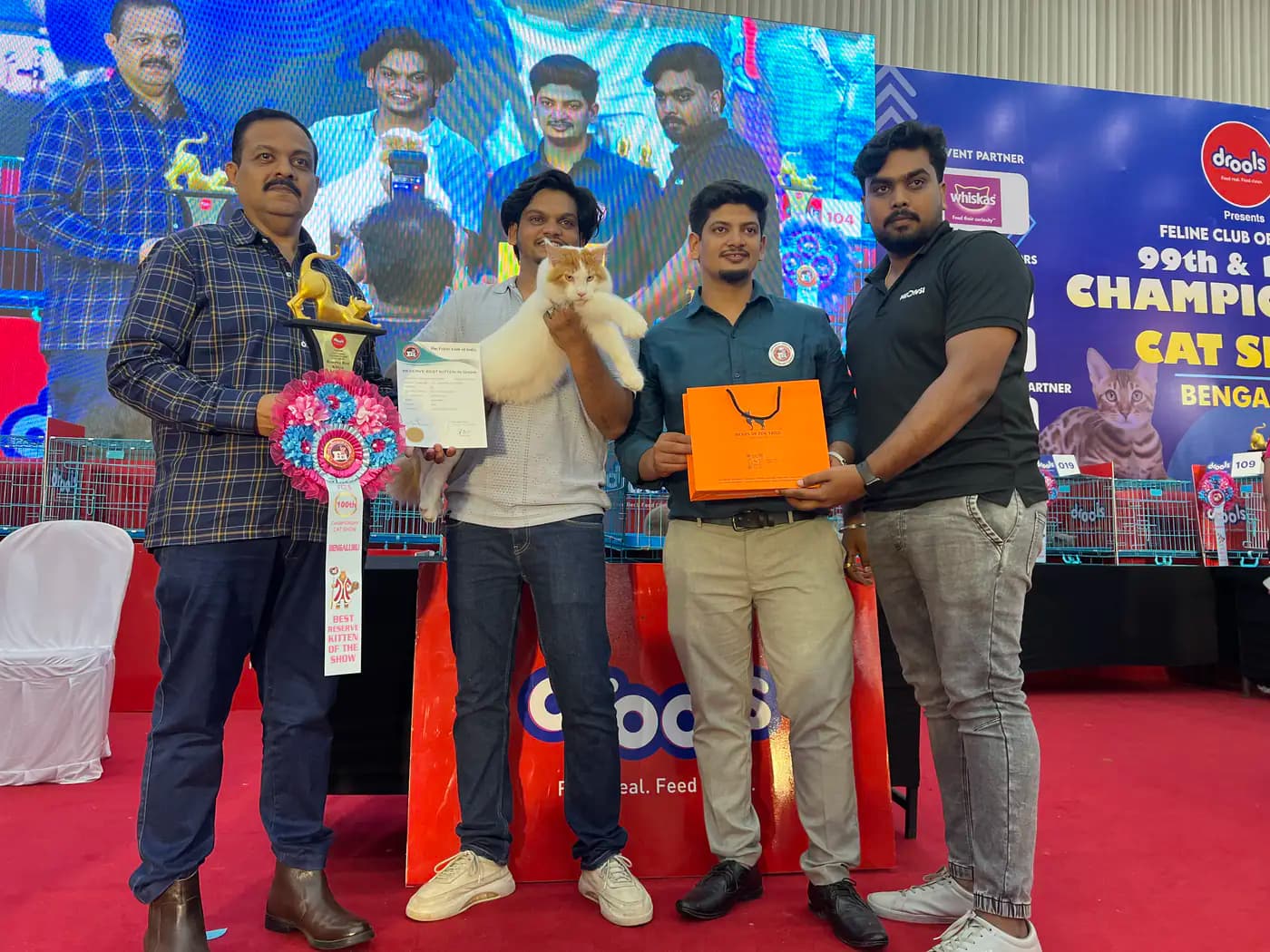 Official award ceremony moment at a national pedigree cat championship