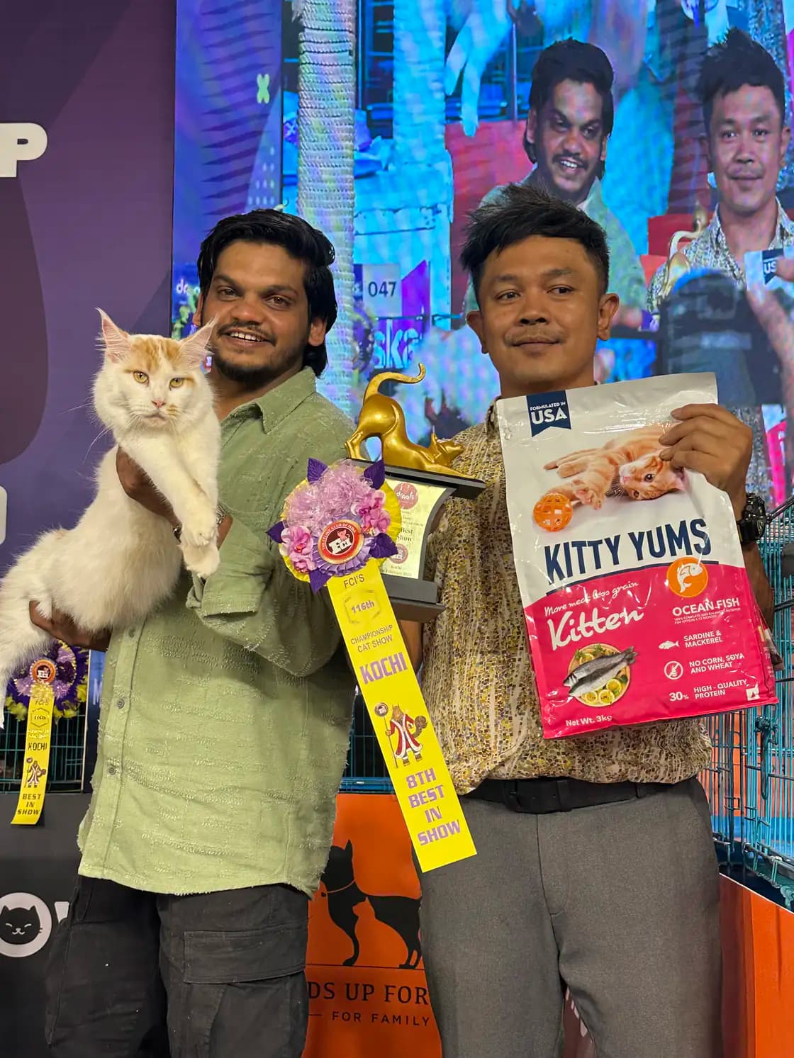 Fourth award ceremony photograph from a national cat championship event