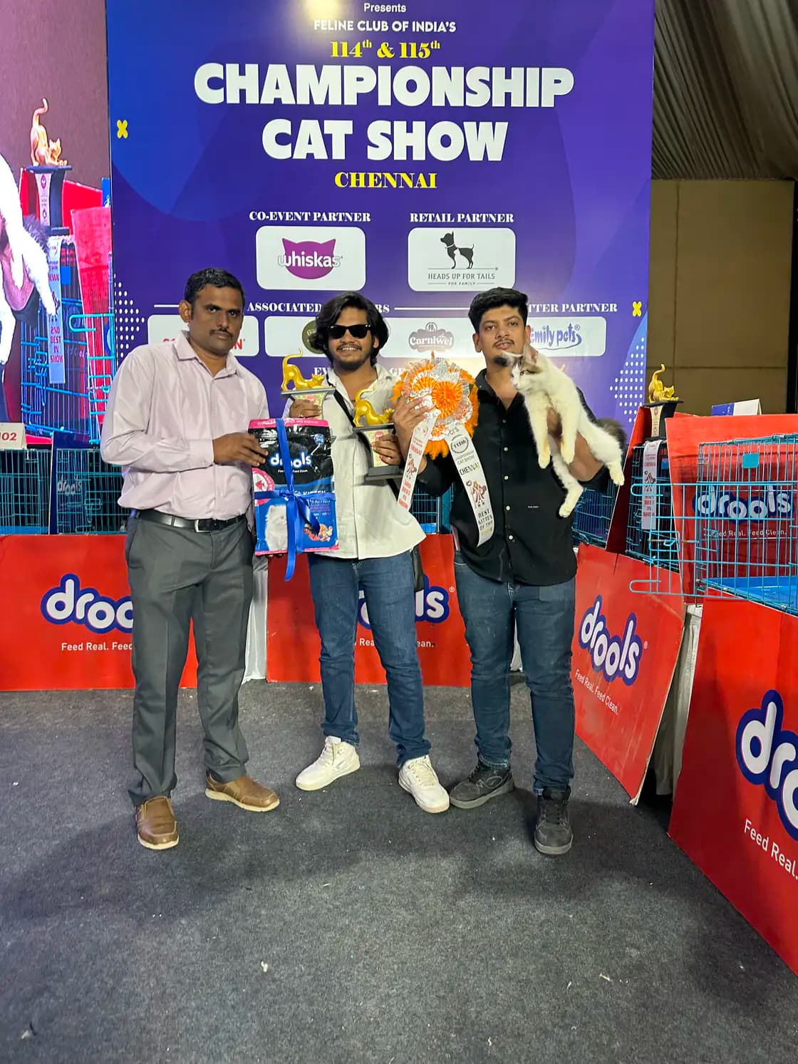 Cat show stage presentation during an official feline championship event
