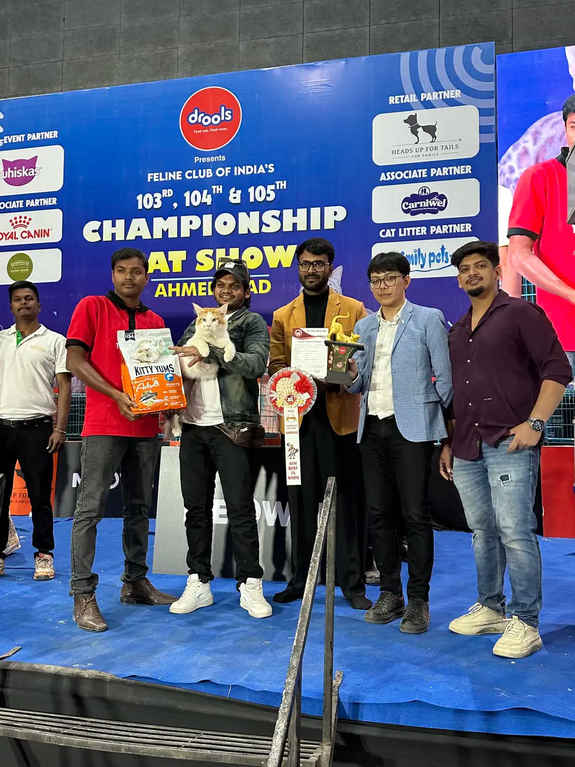 Second championship stage photograph from an official cat show ceremony