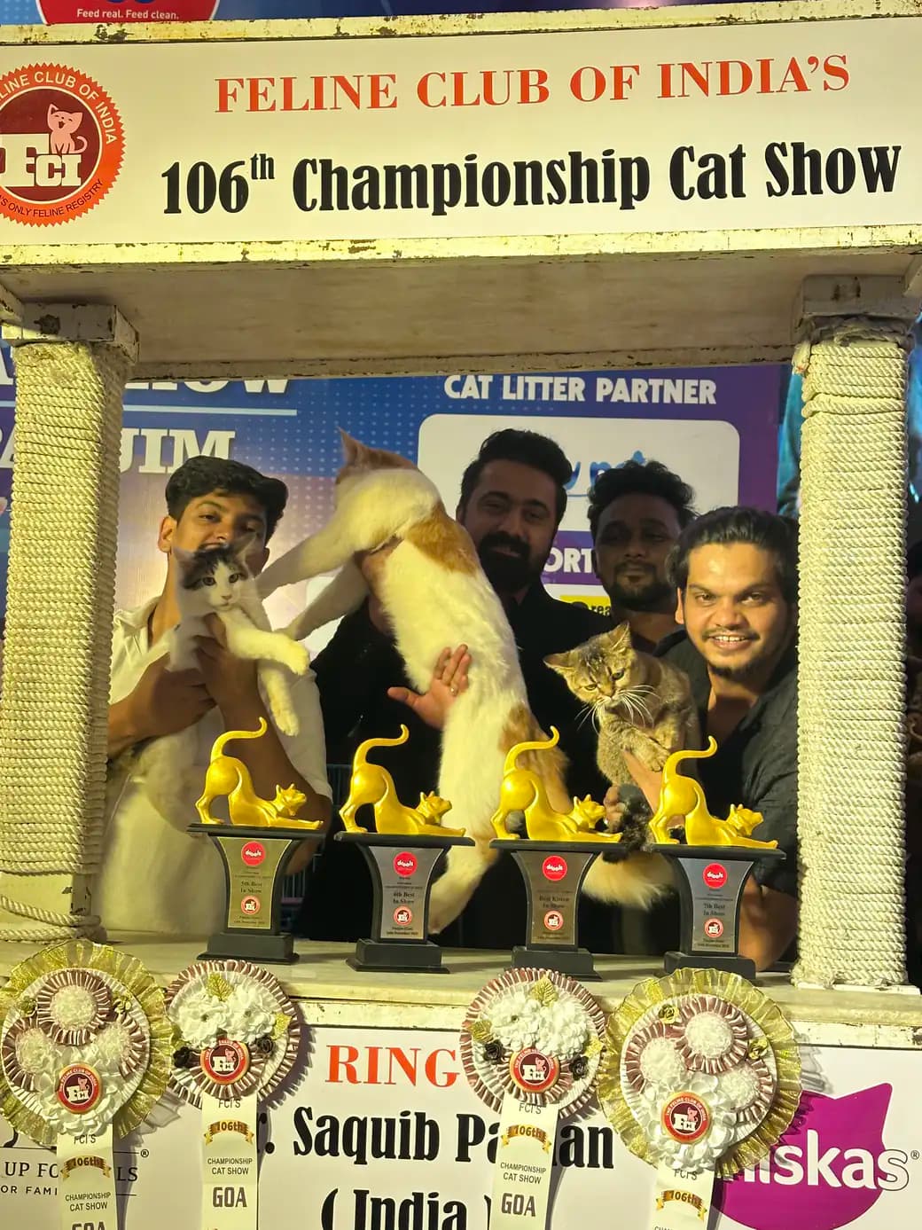 Third championship stage scene at a national feline award ceremony