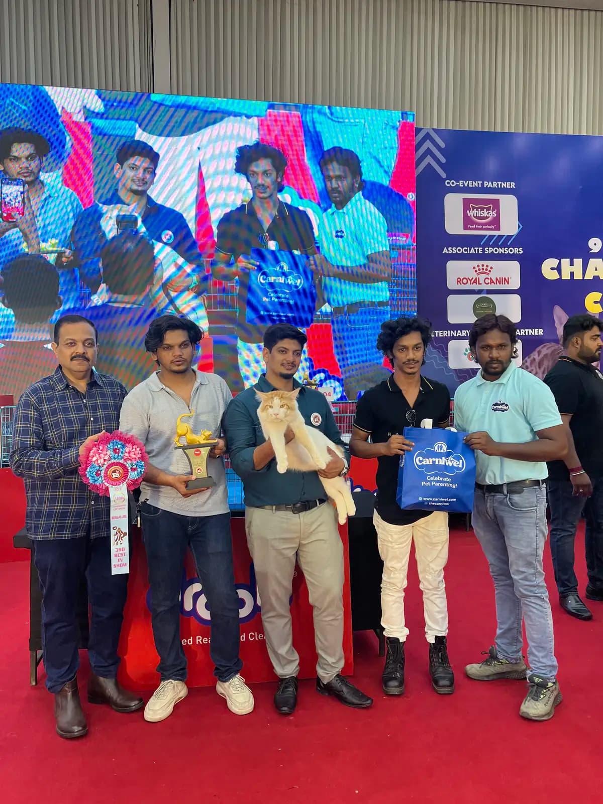 Group photograph during a national feline championship award ceremony