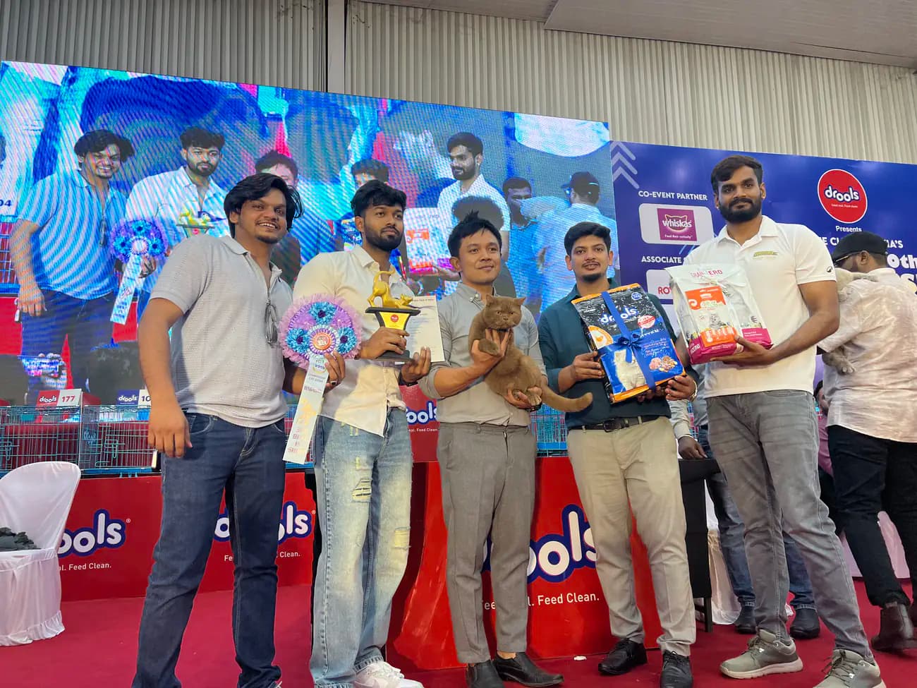 Second group photograph from an official pedigree cat championship ceremony