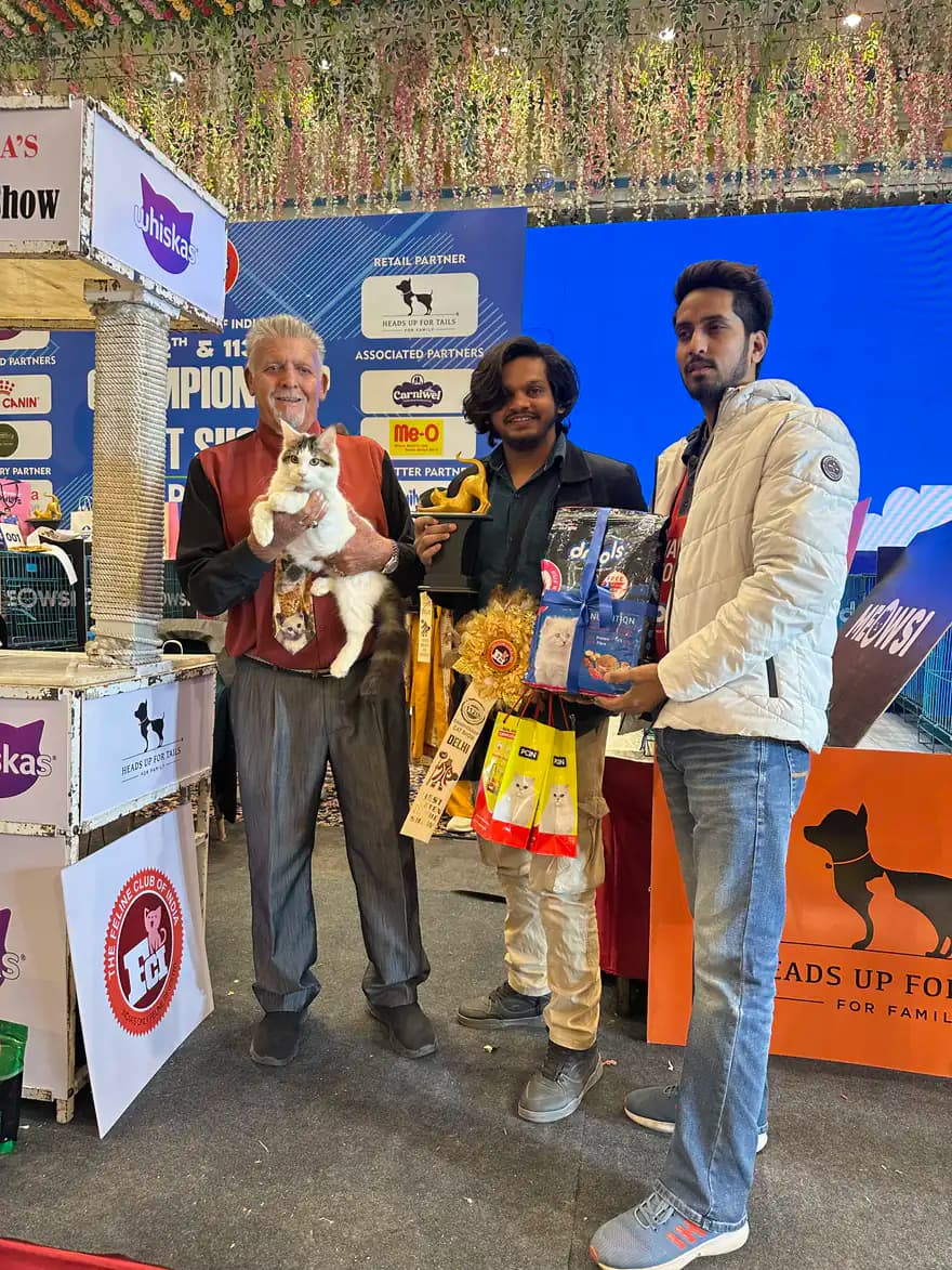Championship winner with judge during an official pedigree cat competition