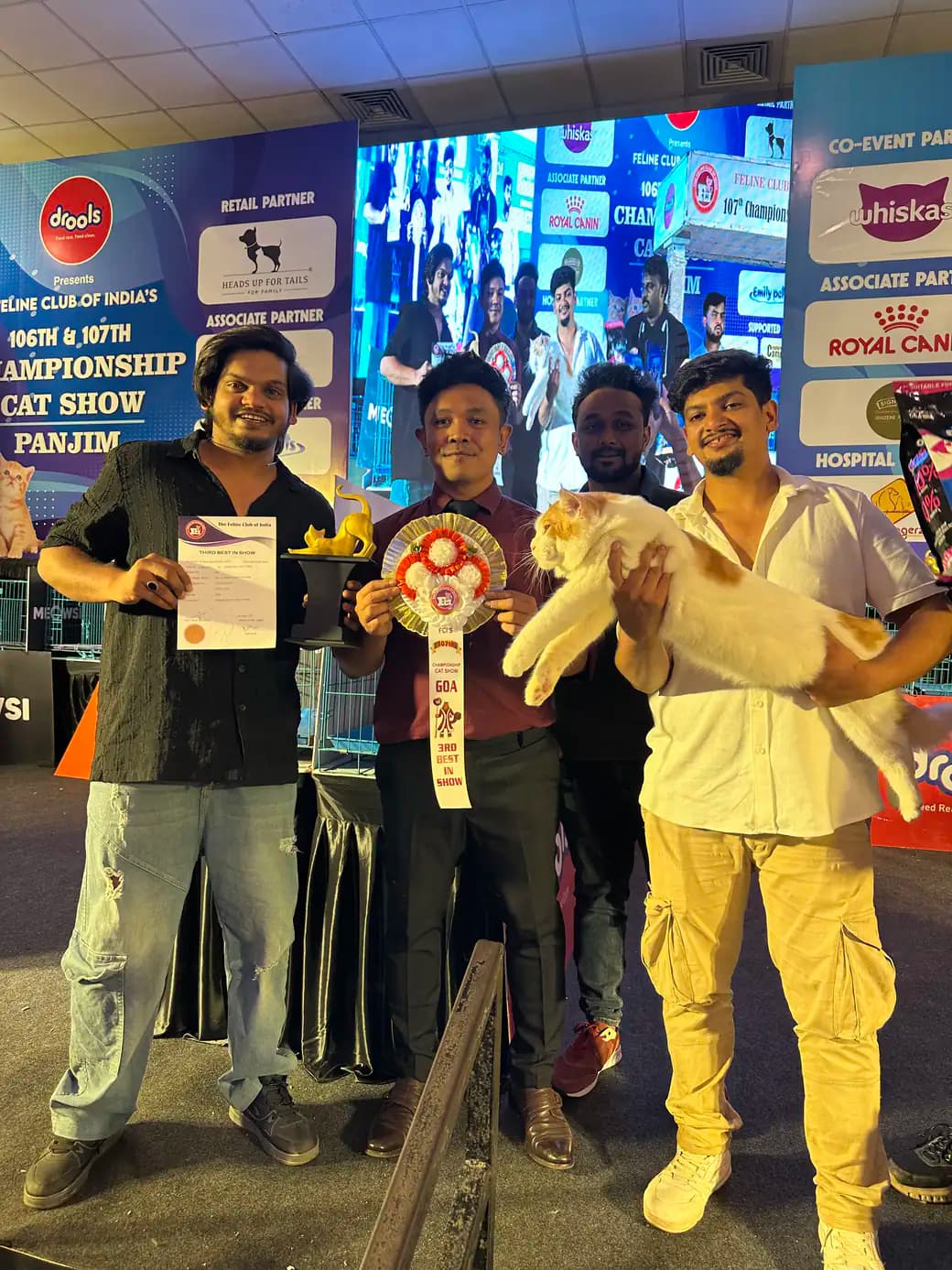 Second championship winner portrait with trophy at a national feline event
